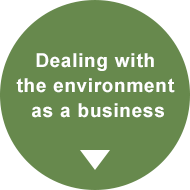 Dealing with the environment as a business